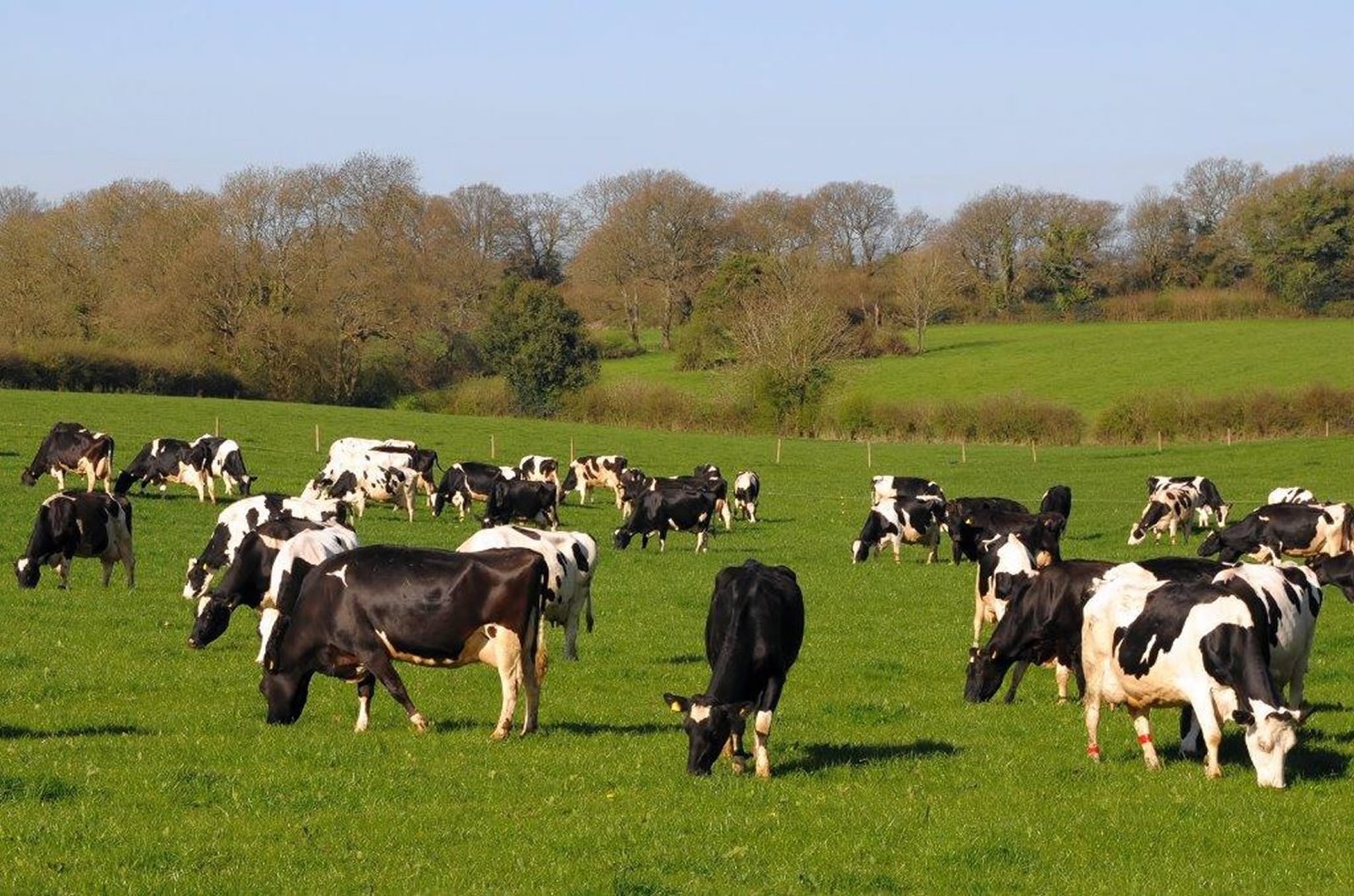 Milk Supply Solutions - Education and Training